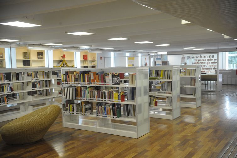 Percentual de municípios com museus e bibliotecas caiu