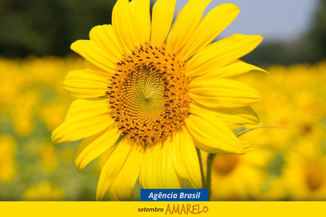 Governo lança campanha para jovem valorizar vínculo social real