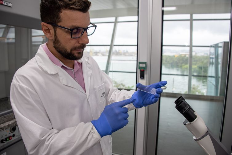 Laboratório produz pele humana para substituir testes em animais