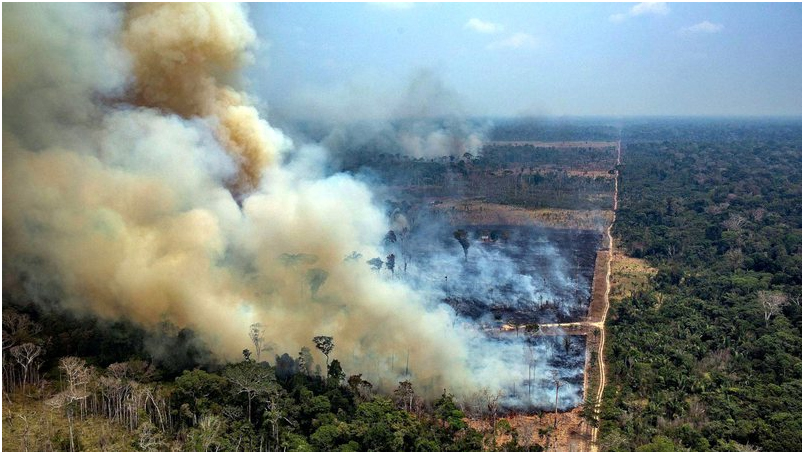 Bolsonaro nega devastação da Amazônia durante discurso na Assembleia Geral da ONU