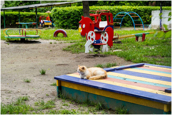 Riscos da areia contaminada de parquinhos