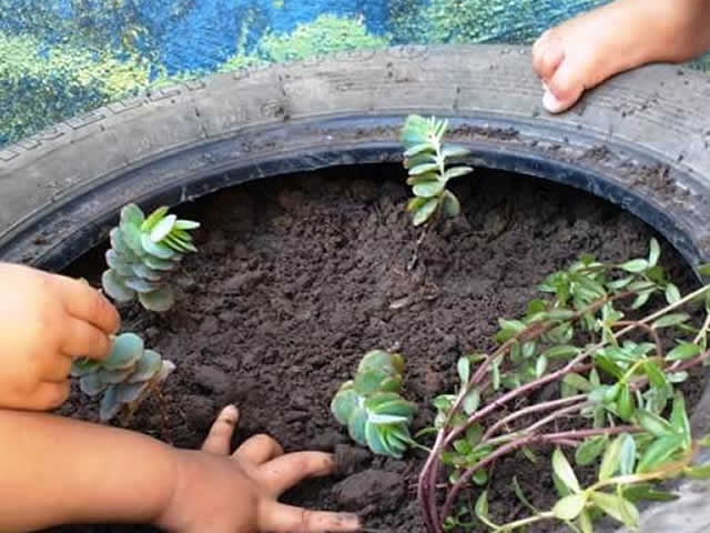 Escolas municipais aderem ao Setembro Verde