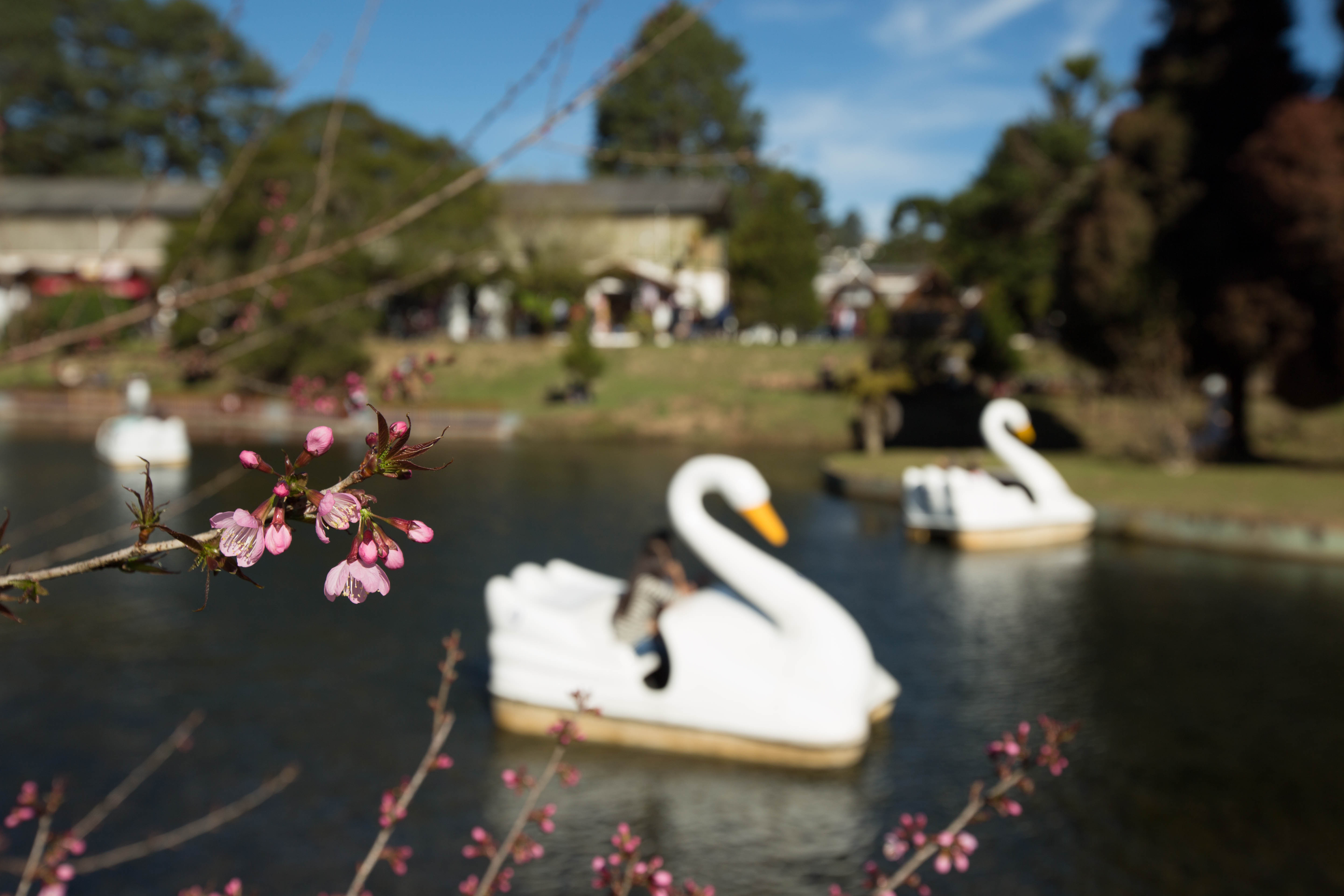 1º Festival Paulista de Cervejas Especiais acontece no  Parque Capivari