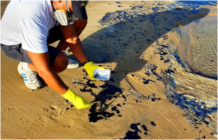 Satélite do Ibama não localiza manchas de óleo no oceano
