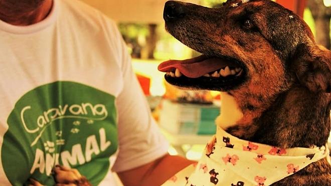 Caravana Animal doa cães cuidados por detentos