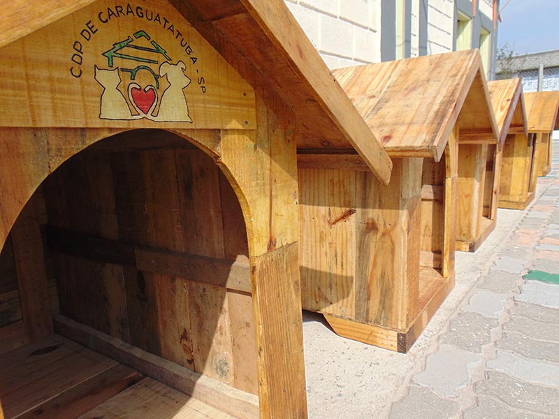 CDP de Caraguatatuba produz casinhas de cachorro