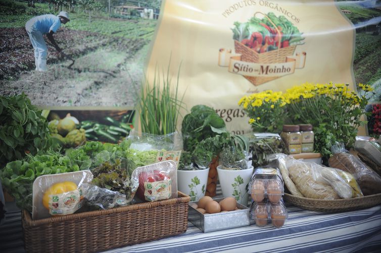 Ministério lança campanha para prevenir obesidade infantil