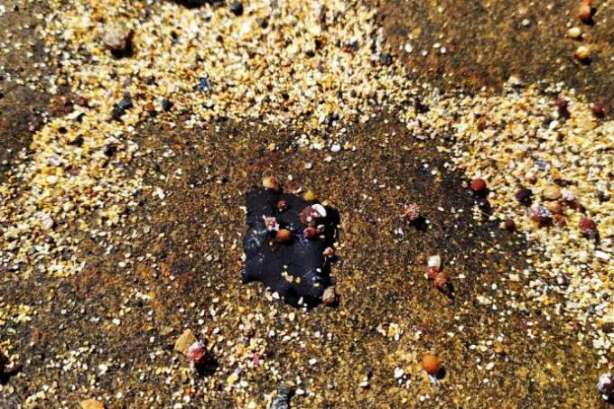 Óleo que atingiu Rio de Janeiro é o mesmo do Nordeste