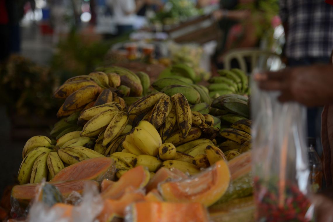 Guia Alimentar Brasileiro poderá ser adaptado para outros países