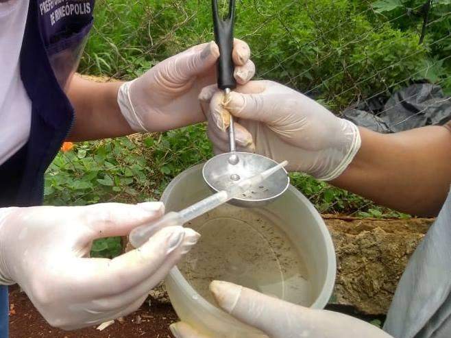 Epidemia recorde de dengue na América exige cuidados especiais com cardíacos