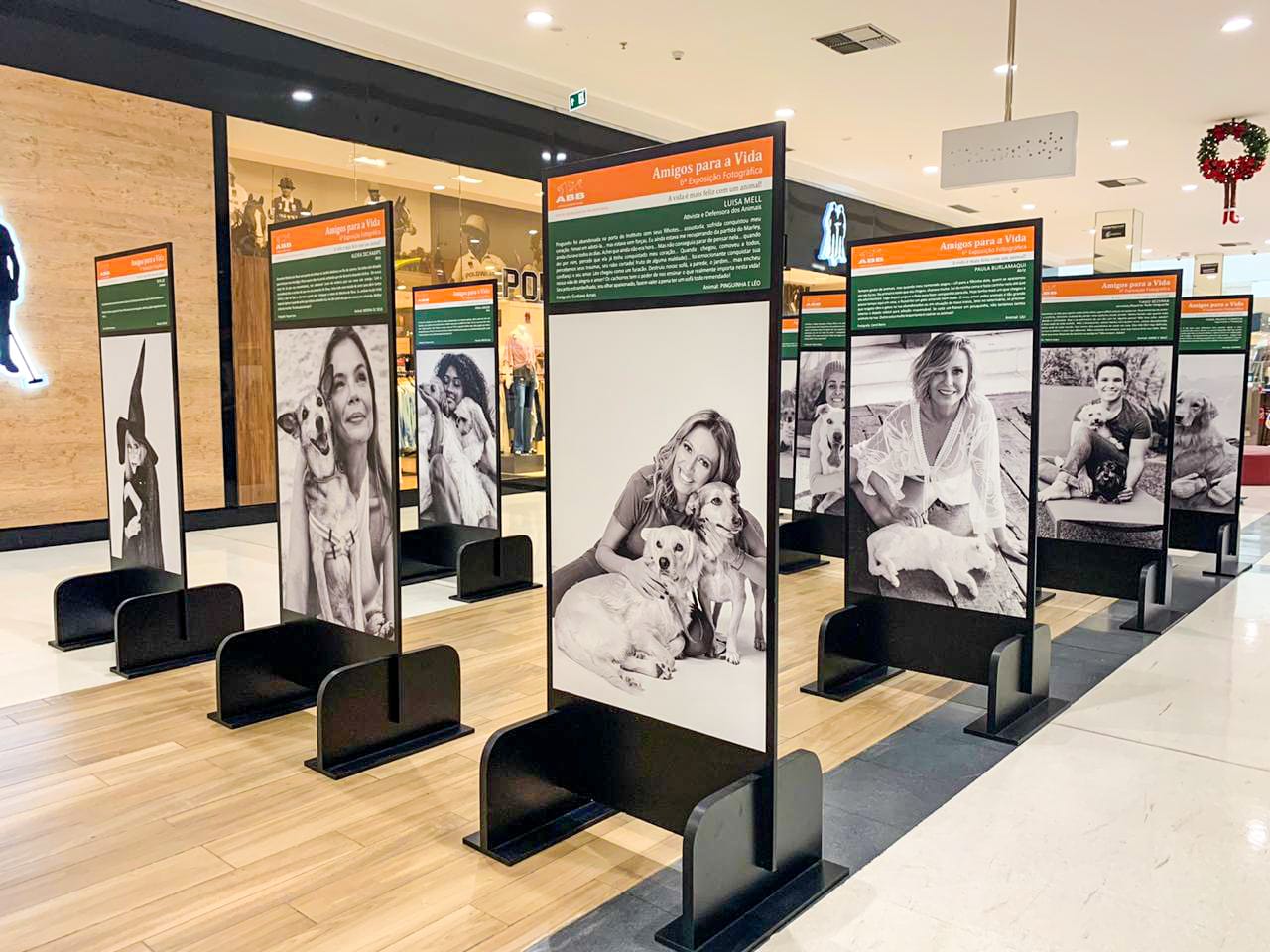 Via Vale recebe a sexta edição fotográfica “Amigos para a vida” da Ong Bicho Brasil