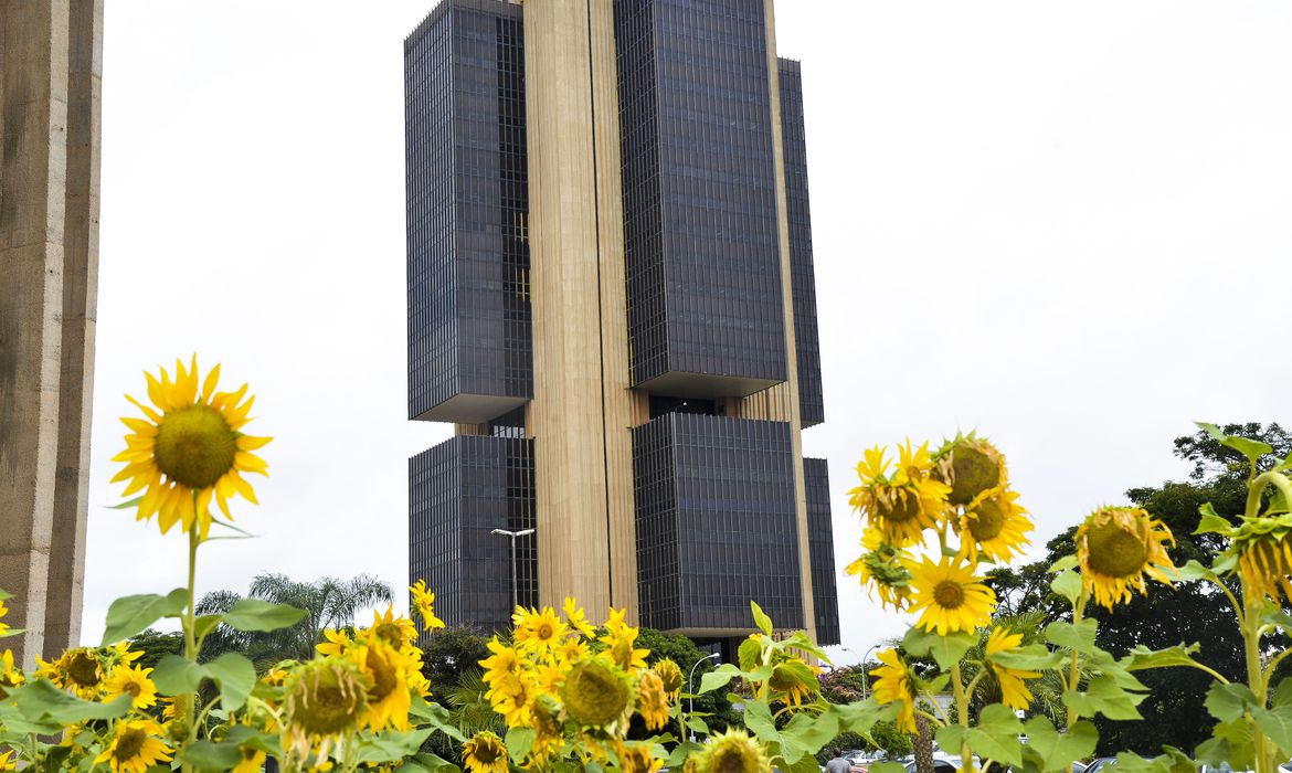 Bancos com mais de 500 mil contas têm de adotar pagamento instantâneo