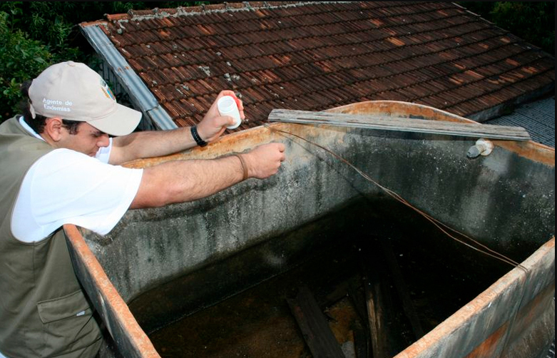 Quatro tipos diferentes do vírus da dengue circulam no Brasil