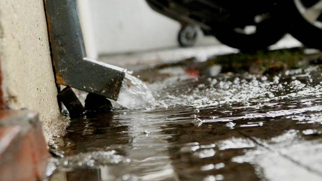 Enchentes e chuva intensa aumentam risco de contrair leptospirose