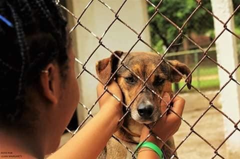 CCZ restringe atividades