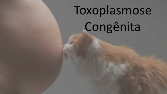 SUS oferecerá a recém-nascidos exame para toxoplasmose