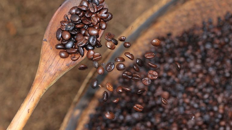 Agronegócio será fundamental na retomada da economia no pós-pandemia, diz estudo