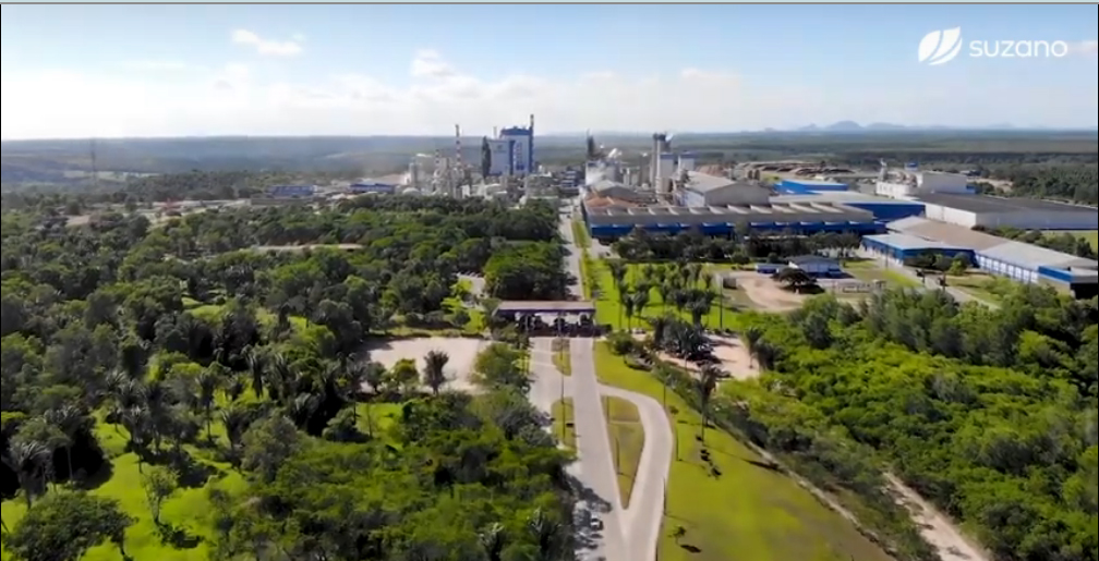 Suzano abre inscrições para o Programa de Estágio 2020