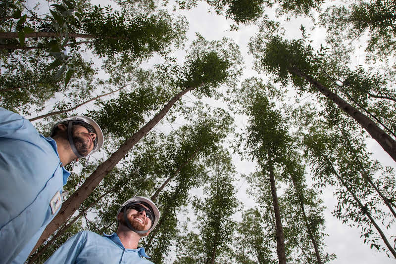 Com tecnologia e a participação da comunidade, Suzano compartilha estratégias de combate e prevenção a incêndios florestais