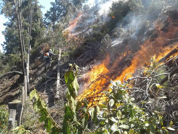 Campos do Jordão: Queimada é crime ambiental e causa problemas respiratórios