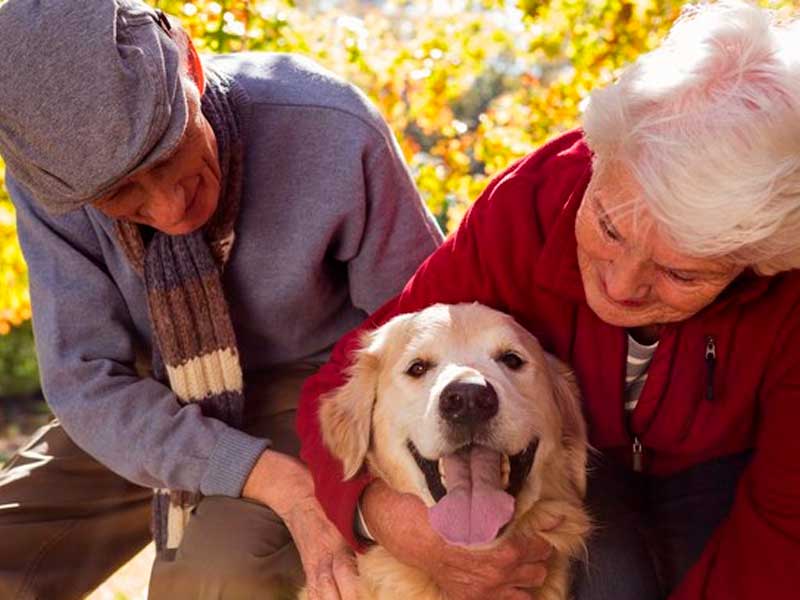 Residencial para idosos usa Pet Terapia como meio de suprir falta de afeto físico