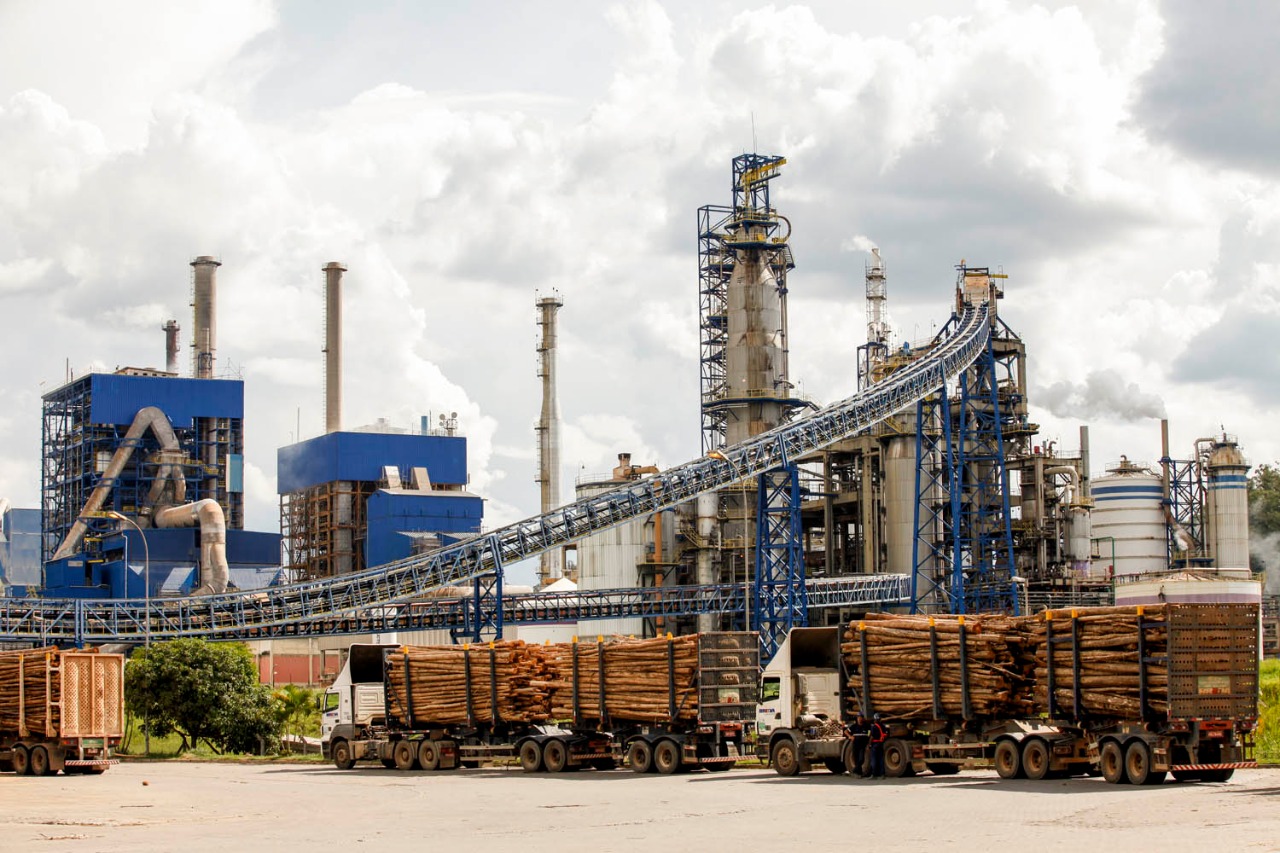 Suzano lança programa para apoiar retomada dos negócios de gráficas e papelarias