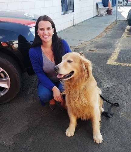 Aprovado projeto que permite a presença de bichos de estimação nas escolas