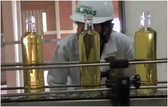 Giramundo – Rota da cachaça