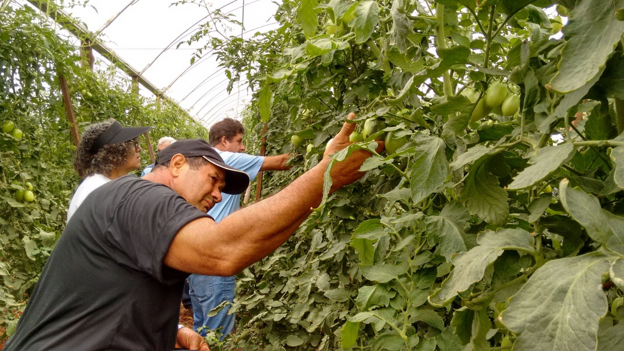 Fechamento da Fundação Itesp prejudicará milhares de famílias no estado de São Paulo
