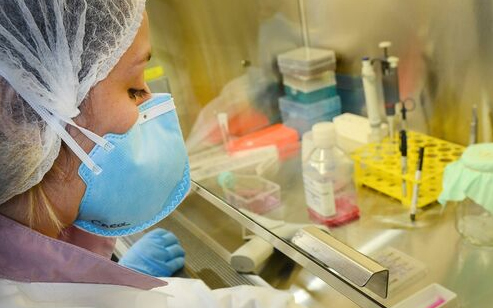 Pesquisadores brasileiros alertam comunidade internacional sobre risco de aumento de diversas doenças no país