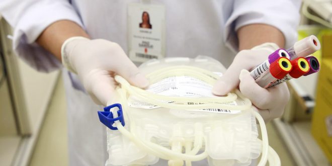 Atualização do cadastro de doadores de medula dobrou durante a pandemia