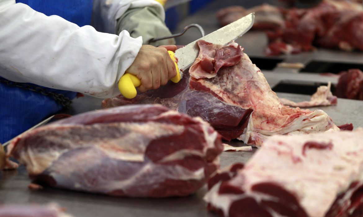 Exportações de carne do Brasil devem crescer 8,8%