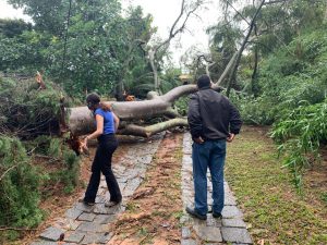 Equipe de Meio Ambiente de Taubaté realiza vistorias emergenciais após as chuvas