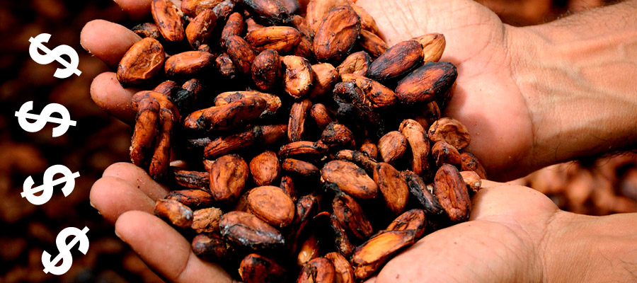 Hoje, dia 26 de março é o Dia do Cacau e claro, também é o Dia do Chocolate.
