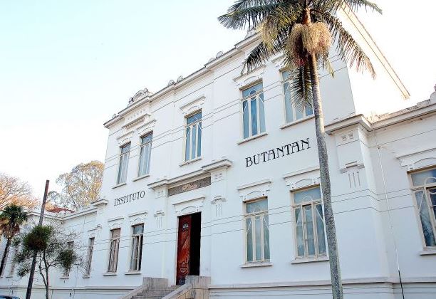 São Paulo vai testar novo soro do Butantan no tratamento de pacientes com coronavírus