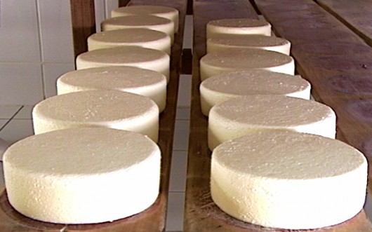 Prefeitura de Taubaté viabiliza certificação para produtos de origem animal