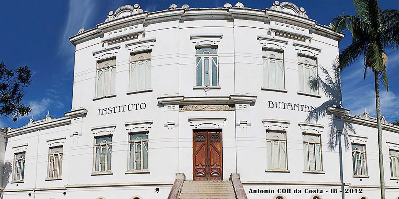 Instituto Butantan detecta três novas variantes de Covid-19 circulando em SP