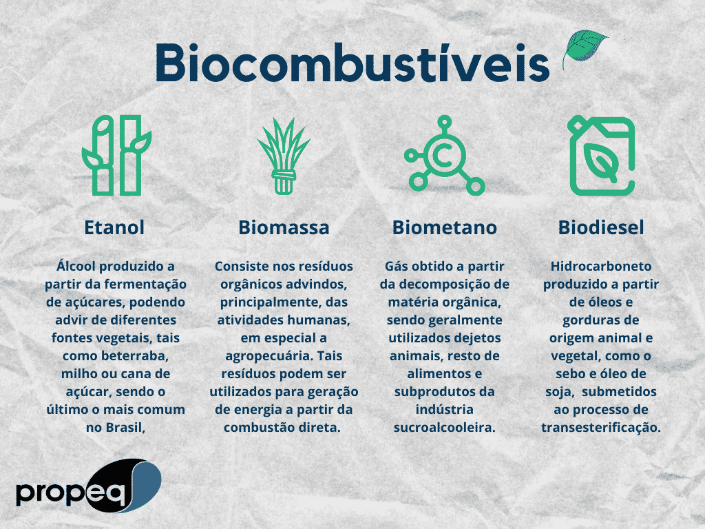 Biocombustíveis no Brasil: etanol de milho e biodiesel da soja
