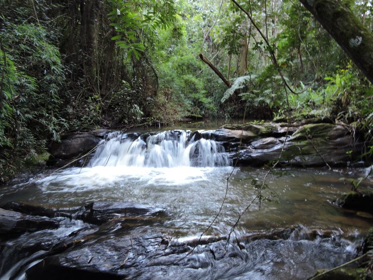 Taubaté cria circuito turístico de rotas rurais