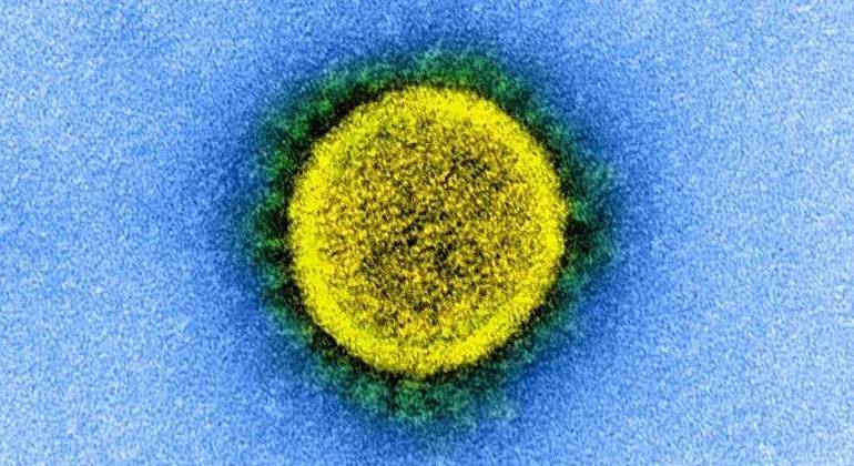 OMS: variante Delta já predomina na maioria das regiões do mundo