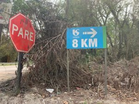 Taubaté realiza caminhada e plantio próximo ao Rio Paraíba nesta quinta, 23