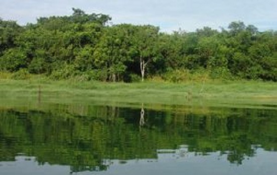 Sabesp tem programação especial “Semana dos Rios”