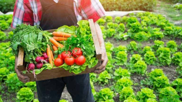 Prefeitura promove evento para produtores da agricultura familiar