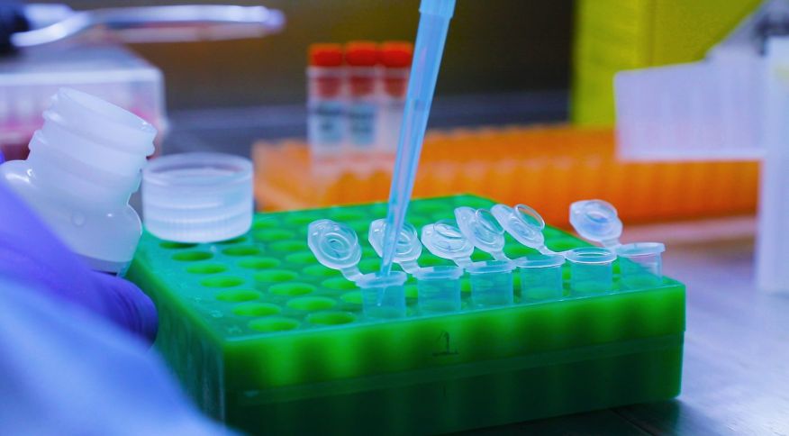 Brasil tem 45 casos confirmados de Covid-19 causados pela variante Ômicron