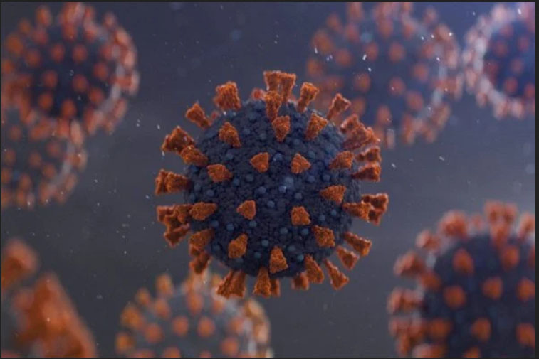 Média móvel de casos de Covid aumenta 33,6% em um mês