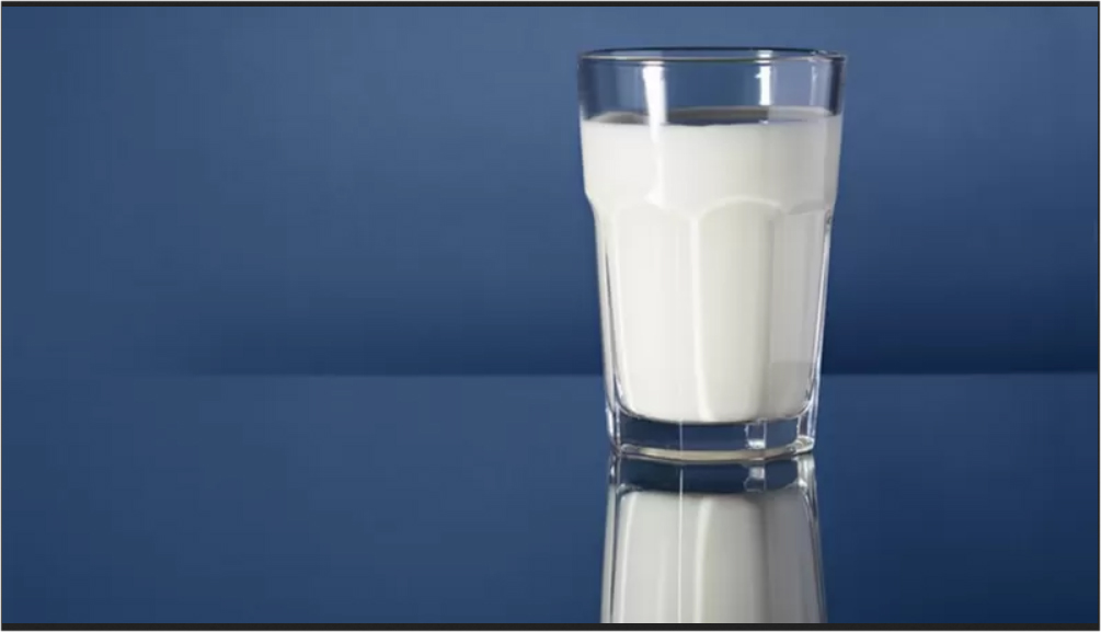 Preço dos produtos lácteos diminuirá em setembro