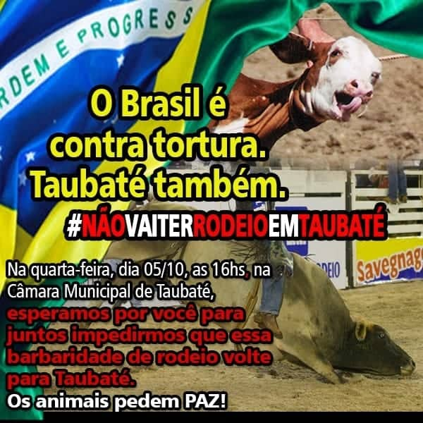 Direito dos Animais – Rodeio não é cultura. É tortura