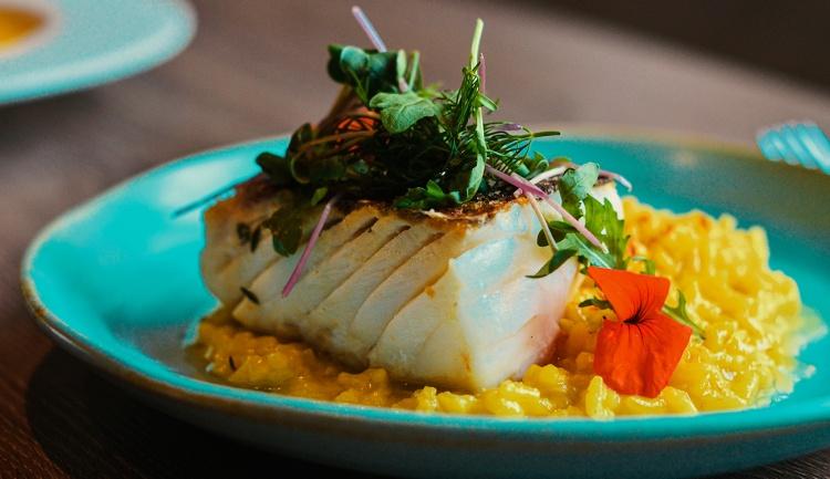 Comilanças Históricas e Atuais – Procurando Nemo – a aventura do peixe palhaço