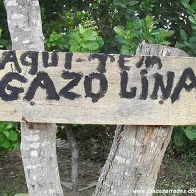 83,5% dos jovens não ingressam no mercado de trabalho por mau português