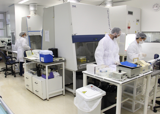 Hemocentro RP e Instituto Butantan vão desenvolver projeto-piloto para o combate ao câncer